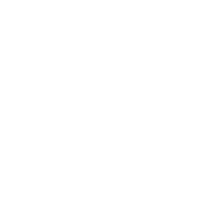      Audi mafia -   120 .