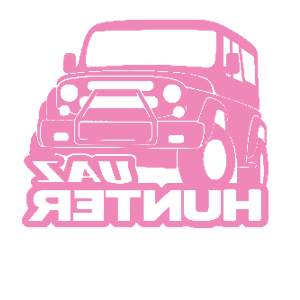      UAZ hunter -   161 .