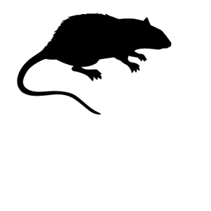        -   42 .