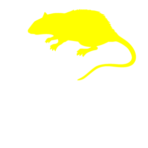     -   42 .