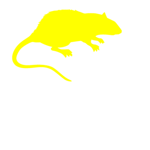        -   42 .