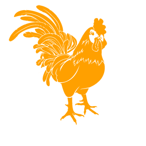       -   161 .