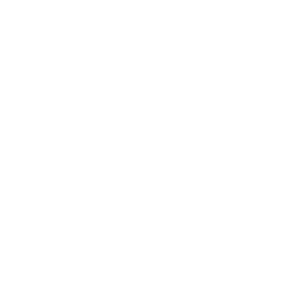         -   161 .