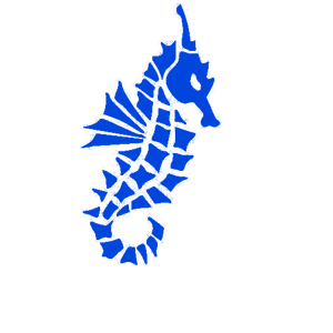 ����������� �� ����������� ����� �������� �������� ����� - ������ �� 100 ���.