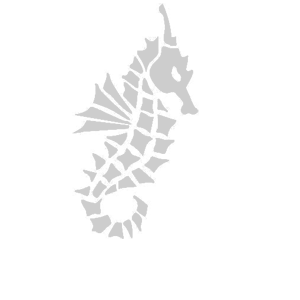 ����������� �� ����������� ������-����� �������� �������� ����� - ������ �� 100 ���.