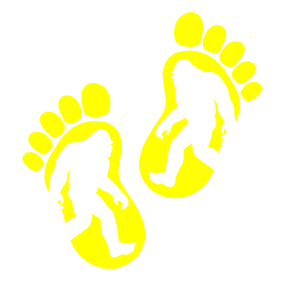        -   84 .
