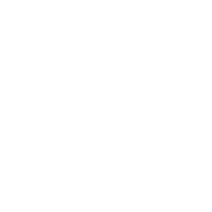        -   133 .