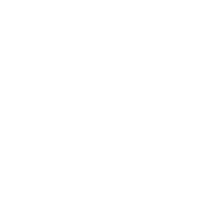        -   65 .