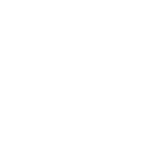    -   -   161 .