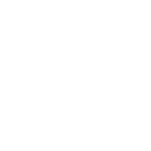        -   -   161 .