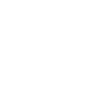        (Chevrolet NIVA) -   116 .