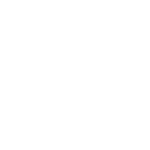       -   65 .
