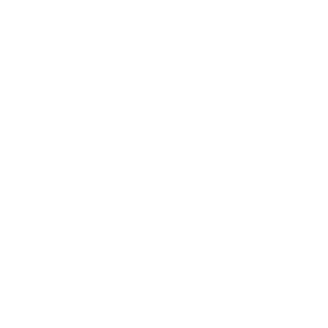         -   161 .