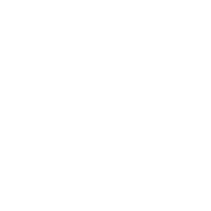      Mitsubishi Lancer X -   127 .
