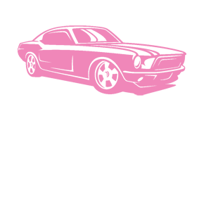      Chevrolet Camaro -   88 .