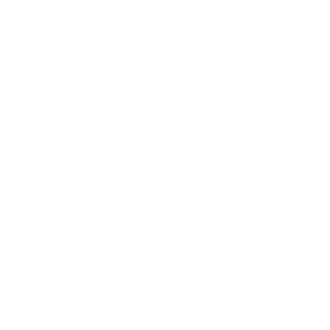       (Moscow) -   133 .