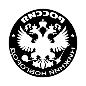       (Nizhniy Novgorod) -   133 .