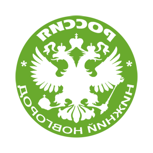    -    (Nizhniy Novgorod) -   133 .