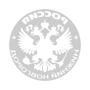        (Nizhniy Novgorod) -   133 .