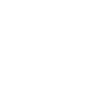      - (Saint Petersburg) -   133 .