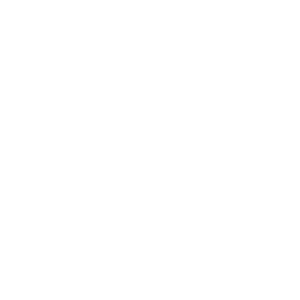       (Stavropol') -   133 .