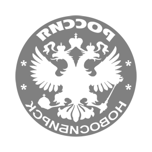 ����������� �� ����������� ����� �������� ������������ (Novosibirsk)� - ������ �� 133 ���.