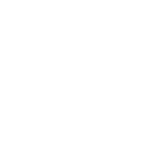       (Khabarovsk) -   133 .