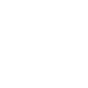      -- (Rostov-na-Donu) -   133 .