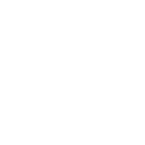    (Chelyabinsk) -   133 .
