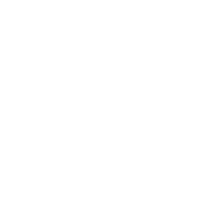       (Odintsovo) -   133 .