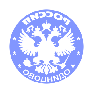       (Odintsovo) -   133 .