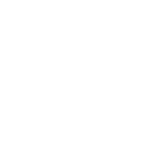       (Simferopol') -   133 .