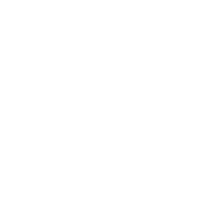       (Sertolovo) -   133 .