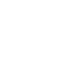       (Zelenograd) -   133 .
