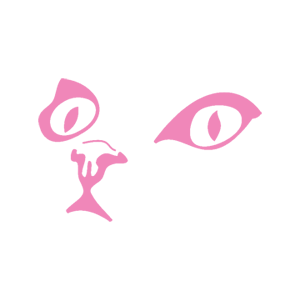        -   80 .