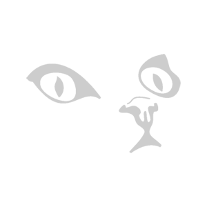 -    -   80 .