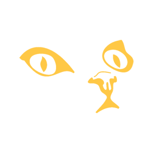     -   80 .