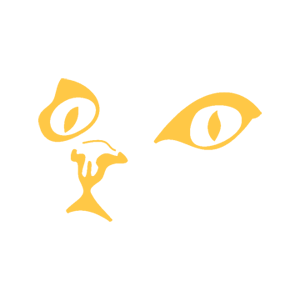        -   80 .