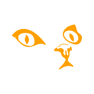     -   80 .