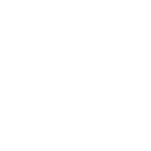       (Dzerzhinskiy) -   133 .