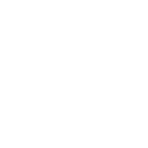       (Vyborg) -   133 .