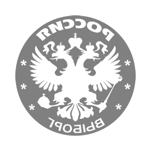       (Vyborg) -   133 .