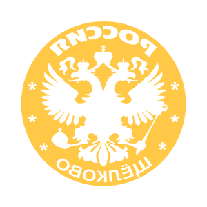      ٸ (Shchelkovo) -   133 .