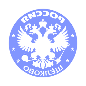      ٸ (Shchelkovo) -   133 .