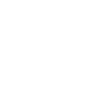 ����������� �� ����������� ����� �������� ������������� (Blagoveshchensk)� - ������ �� 133 ���.