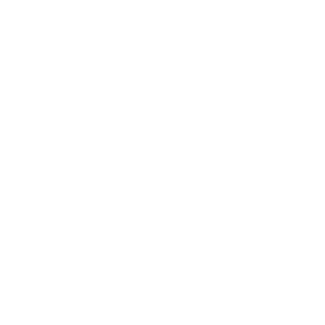       (Vladimir) -   133 .