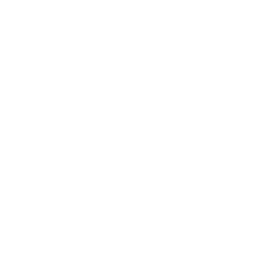       (Novocherkassk) -   133 .