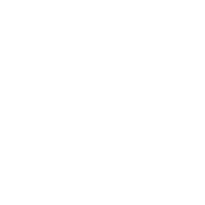       (Groznyy) -   133 .