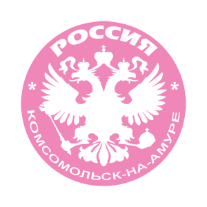   -- (Komsomolsk-on-Amur) -   133 .
