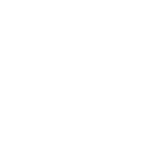       (Kyshtym) -   133 .
